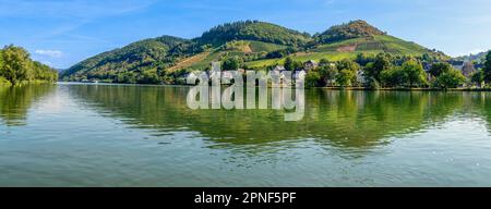 Ein wunderschöner Blick von Alf im Bezirk Cochem-Zell in Rheinland-Pfalz über die Mosel nach Bullay in heller Sonne. Stockfoto