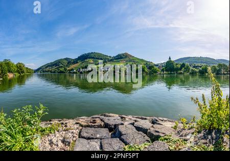 Ein wunderschöner Blick von Alf im Bezirk Cochem-Zell in Rheinland-Pfalz über die Mosel nach Bullay in heller Sonne. Stockfoto