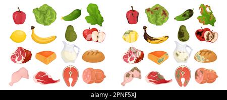 Frisches und faules Nahrungs-Set aus Obst, Gemüse, Fleischbrot und Milchprodukten isolierte Vektordarstellung Stock Vektor