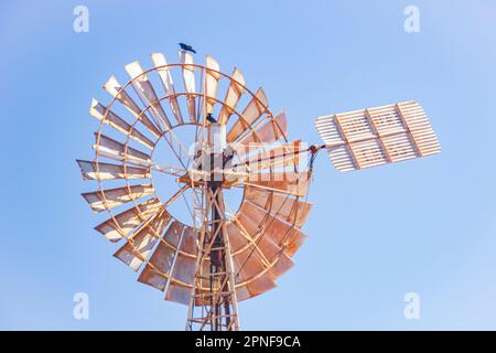 Eine alte Windmühle im Peron Homestead Precint im Francois Peron National Park der Shark Bay Region in Westaustralien, Australien. Stockfoto