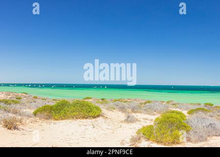 Trockene Landschaft am Ufer der Little Lagoon bei Denham in Shark Bay, Westaustralien, Australien. Stockfoto