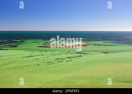 Der Blick auf die Meereslandschaft des Denham Sound mit Eagle Island aus Sicht von Eagle Bluff in Shark Bay, Westaustralien, Australien. Stockfoto