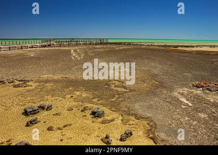 Blick auf den Hamelin-Pool bei Ebbe mit Stromatoliten in der Shark Bay in Westaustralien, Australien. Stockfoto