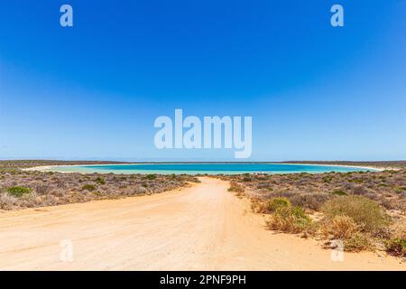 Unbefestigte Sandstraße zur Little Lagoon bei Denham in Shark Bay, Westaustralien, Australien. Stockfoto