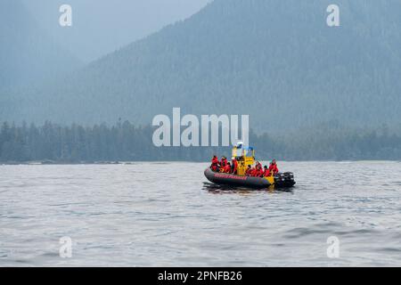 Starrer Schlauchboot mit Touristen auf einer Walbeobachtungstour vor der Küste von Vancouver Island, British Columbia, Kanada. Stockfoto
