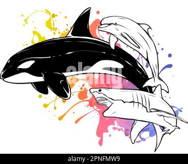 Schwarzweißzeichnung eines hüpfenden Orcawals in Schwarz-Weiß. Illustration. Stock Vektor