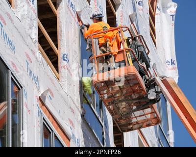 Bauarbeiter, die Fenster in einem Gebäude mit Wohnungen in Hochhäusern im Bau installieren. Stockfoto