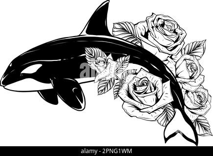 Schwarzweißzeichnung eines hüpfenden Orcawals in Schwarz-Weiß. Stock Vektor