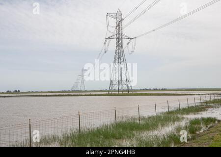 Elektrische Türme über überfluteten Feldern verwandelten sich in Vernallbecken im Central Valley von Kalifornien. Stockfoto