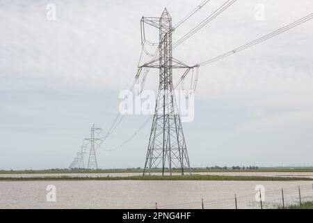 Elektrische Türme über überfluteten Feldern verwandelten sich in Vernallbecken im Central Valley von Kalifornien. Stockfoto