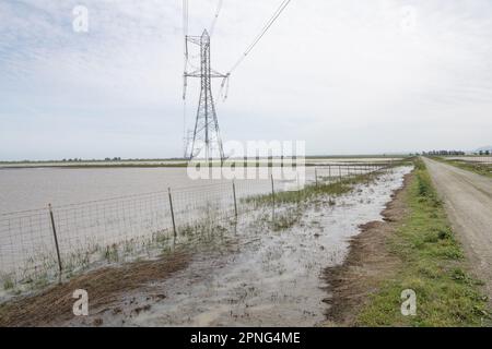 Elektrische Türme über überfluteten Feldern verwandelten sich in Vernallbecken im Central Valley von Kalifornien. Stockfoto