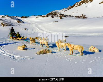 Inuit und zwei Touristen mit seinem Hundeschlittenteam Tasiilaq, Ammassalik Island, Kommuneqarfik Sermersooq, Ostgrönland, Grönland Stockfoto
