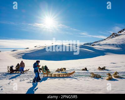 Inuit mit ihren Hundeschlittenteams und Ski-Touristen, Tasiilaq, Ammassalik Island, Kommuneqarfik Sermersooq, Ostgrönland, Grönland Stockfoto