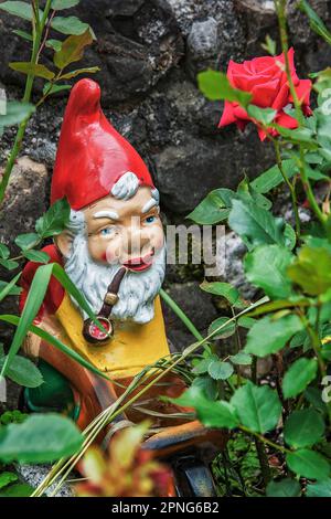 Gartenzwerg mit Pfeife und Schubkarre, Bayern, Deutschland Stockfoto