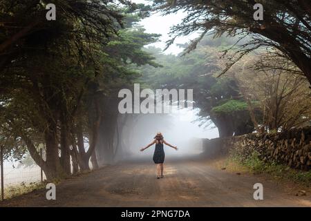 Eine Frau, die durch neblige Bäume in Richtung Wacholderwald in El Hierro geht. Kanarische Inseln Stockfoto