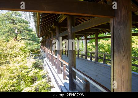 April 2023 Kyoto Japan, Tsutenkyo Holzbrücke im Tofuku-ji Tempel in Kyoto, einer der großen buddhistischen Zen Tempel, Japan, Asien Stockfoto