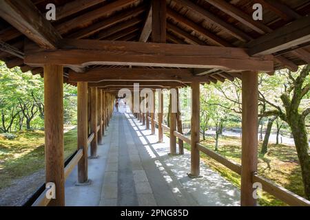 April 2023 Kyoto Japan, Tsutenkyo Holzbrücke im Tofuku-ji Tempel in Kyoto, einer der großen buddhistischen Zen Tempel, Japan, Asien Stockfoto