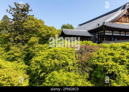 Kyoto Japan 2023. April, großer Zen-Tempel Tofuku-ji-Tempel ein buddhistischer japanischer Tempel, einer der fünf großen Tempel von Kyoto, Japan Stockfoto