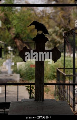 Silhouette einer Krähe hoch oben auf einem Kreuz auf dem indischen christlichen Friedhof, Paharganj, Neu-Delhi, Indien Stockfoto