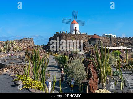 Windmühle in Jardin de Cactus, Cesar Manrique, Lanzarote, Kanarische Inseln, Spanien Stockfoto