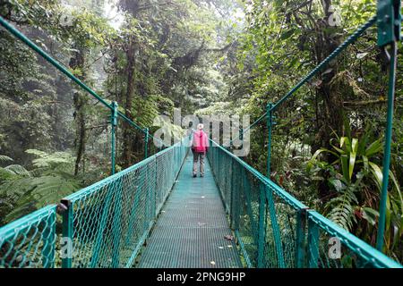 Hängebrücke in Selvatura Park, Monteverde Cloud Forest, Provinz Puntarenas, Costa Rica Stockfoto