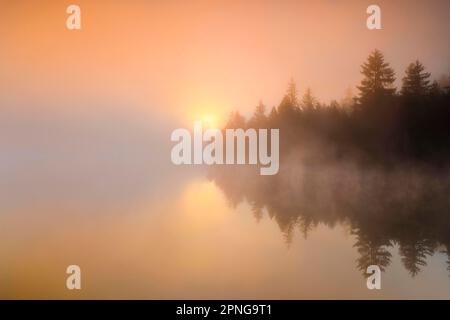 Sonnenaufgang über dem spiegelglatten Sumpfsee Etang de la Gruere im Kanton Jura, Schweiz Stockfoto