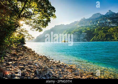 Letzter Lichtblick über dem Walener See mit der kleinen Schnittlauch-Insel im türkisfarbenen Wasser und der Bergkette Leistchamm im Hintergrund, Canton St. Gallen Stockfoto