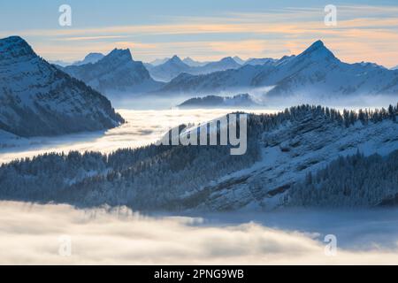 Blick vom Kronberg im Kanton Appezell in Richtung Stockberg, Mattstock und Speer, Schweizer Alpen im Winter Stockfoto