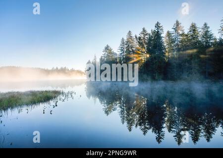 Sonnenaufgang über dem spiegelglatten Sumpfsee Etang de la Gruere im Kanton Jura, Schweiz Stockfoto