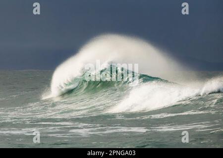 Große Wellen brechen auf dem offenen Meer an der bretonischen Küste nahe Brest, Frankreich Stockfoto