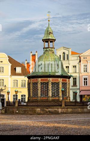 Wasserkunst auf dem Markt im Renaissance-Stil, UNESCO-Weltkulturerbe, Altstadt, Hansestadt Wismar, Mecklenburg-Vorpommern, Deutschland Stockfoto