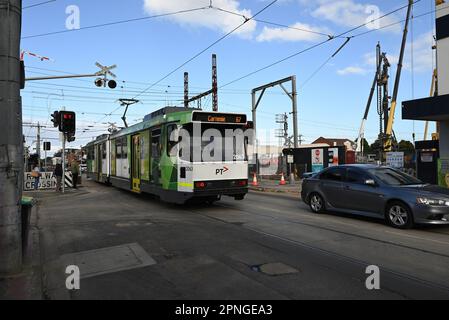 Die von Yarra Trams betriebene B-Klasse-Straßenbahn navigiert den Ort des Glen Huntly-Bahnübergangs, das Teil des Big Builds des Bundesstaates ist Stockfoto