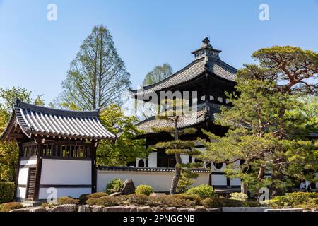 Kyoto Japan 2023. April, großer Zen-Tempel Tofuku-ji-Tempel ein buddhistischer japanischer Tempel, einer der fünf großen Tempel von Kyoto, Japan Stockfoto