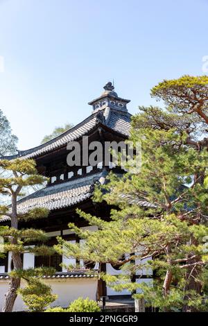 Kyoto Japan 2023. April, großer Zen-Tempel Tofuku-ji-Tempel ein buddhistischer japanischer Tempel, einer der fünf großen Tempel von Kyoto, Japan Stockfoto