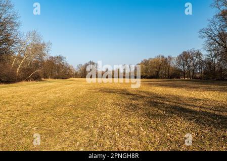 Wiese mit Bäumen und klarem Himmel am frühen Frühling in CHKO Poodri bei Ostrava in der tschechischen republik Stockfoto