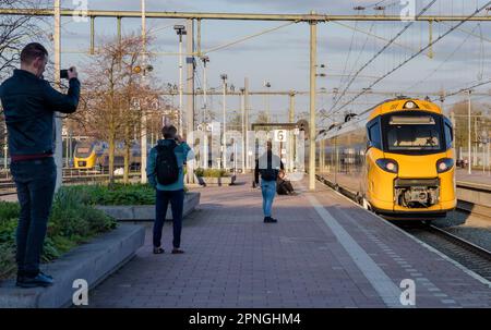 ROTTERDAM - die Intercity New Generation (ICNG) fährt von Rotterdam Central nach Amsterdam Central. Der Zug ist auch für die Hochgeschwindigkeitsstrecke und die belgische Bahn geeignet. Anp MARCO DE SWART niederlande raus - belgien raus Stockfoto