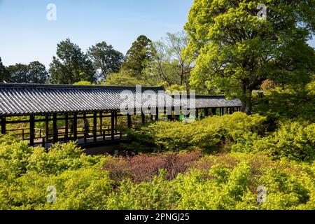 Kyoto Japan 2023. April, großer Zen-Tempel Tofuku-ji-Tempel ein buddhistischer japanischer Tempel, einer der fünf großen Tempel von Kyoto, Japan Stockfoto