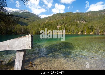 Intaktes Naru am unberührten Bergsee in Tirol Landschaft geschossener Holzzaun blauer Himmel teilweise bewölkte Wälder und schneebedeckte Gipfel als Konzept für Wildnis RE Stockfoto