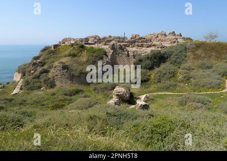 Überreste der Kreuzritter-Burg in der antiken Stadt Apollonia (Tel Arsuf) an der Mittelmeerküste von Herzliya, Apollonia-Nationalpark, HaSha Stockfoto