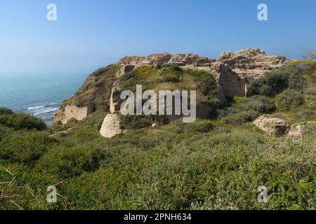 Überreste der Kreuzritter-Burg in der antiken Stadt Apollonia (Tel Arsuf) an der Mittelmeerküste von Herzliya, Apollonia-Nationalpark, HaSha Stockfoto