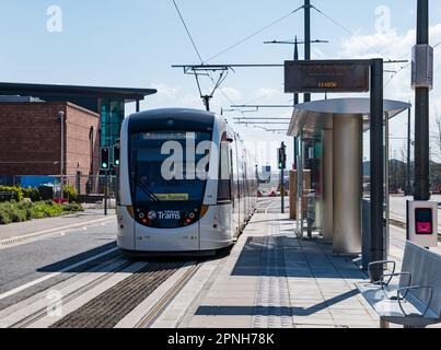 Leith, Edinburgh, Schottland, Großbritannien, 19. April 2023. Straßenbahnen nach Newhaven: Die ersten Straßenbahnen, die tagsüber auf der verlängerten Straßenbahnlinie verkehren, begannen heute, die Strecke zu testen. Abbildung: Straßenbahnhaltestelle am Hafen von Leith. Kredit: Sally Anderson/Alamy Live News Stockfoto