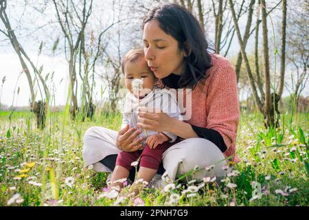 Mutter und kleine Tochter sammeln Blumen und Gänseblümchen auf Wiesen während der Blütenzeit an einem sonnigen Frühlingstag. Konzept der Mutterschaft und Spaß an tim Stockfoto