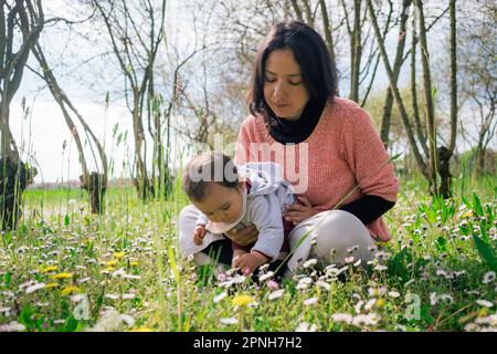 Mutter und kleine Tochter sammeln Blumen und Gänseblümchen auf Wiesen während der Blütenzeit an einem sonnigen Frühlingstag. Konzept der Mutterschaft und Spaß an tim Stockfoto