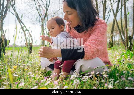 Mutter und kleine Tochter sammeln Blumen und Gänseblümchen auf Wiesen während der Blütenzeit an einem sonnigen Frühlingstag. Konzept der Mutterschaft und Spaß an tim Stockfoto