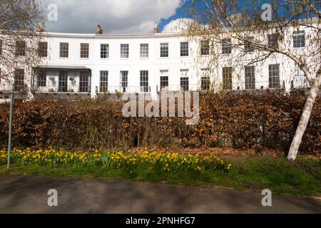 Royal Crescent, Cheltenham, an einem wunderschönen sonnigen Frühlingstag im April mit blauem Himmel/Himmel und Sonne. GL50 3DA. UK. (134) Stockfoto