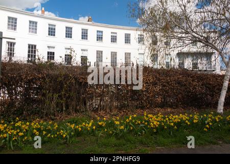 Royal Crescent, Cheltenham, an einem wunderschönen sonnigen Frühlingstag im April mit blauem Himmel/Himmel und Sonne. GL50 3DA. UK. (134) Stockfoto