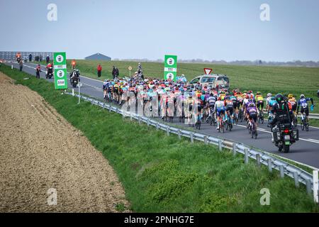 Huy, Belgien. 19. April 2023. Die Abbildung zeigt das Peloton während der 86. Ausgabe des Herrenrenrenrenrenrenrenrenrenrennen „La Fleche Wallonne“, ein eintägiges Radrennen (Waalse Pijl - Wallonischer Pfeil), 194, 2 km von Herve nach Huy, Mittwoch, 19. April 2023. BELGA FOTO DAVID PINTENS Kredit: Belga News Agency/Alamy Live News Stockfoto