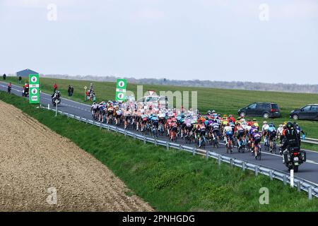 Huy, Belgien. 19. April 2023. Die Abbildung zeigt das Peloton während der 86. Ausgabe des Herrenrenrenrenrenrenrenrenrenrennen „La Fleche Wallonne“, ein eintägiges Radrennen (Waalse Pijl - Wallonischer Pfeil), 194, 2 km von Herve nach Huy, Mittwoch, 19. April 2023. BELGA FOTO DAVID PINTENS Kredit: Belga News Agency/Alamy Live News Stockfoto