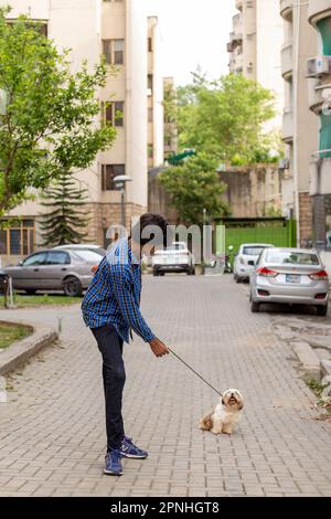 Shih Tzu Hund sitzt auf der Treppe der Stadt. Ein Hund in der Stadt. Hund in städtischer Landschaft Stockfoto