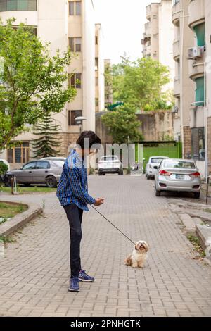 Shih Tzu Hund sitzt auf der Treppe der Stadt. Ein Hund in der Stadt. Hund in städtischer Landschaft Stockfoto